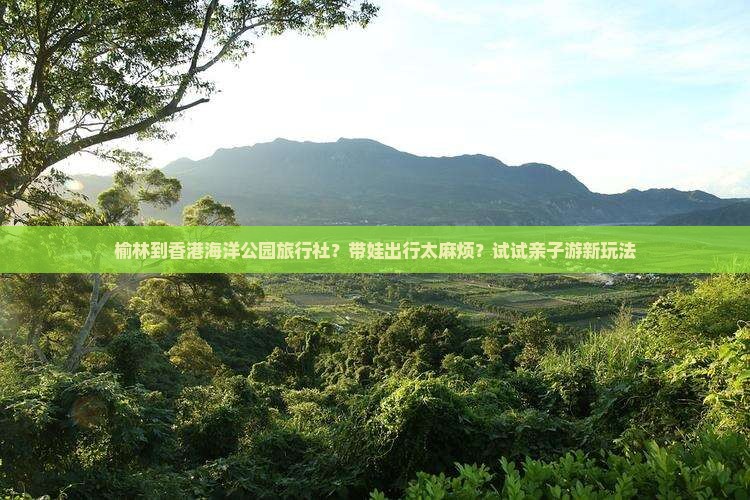 榆林到香港海洋公园旅行社？带娃出行太麻烦？试试亲子游新玩法