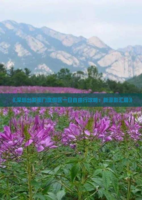 《深圳出发澳门度假区一日自由行攻略：新濠影汇篇》