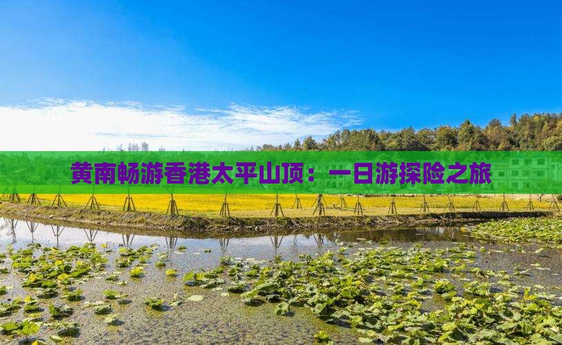 黄南畅游香港太平山顶：一日游探险之旅
