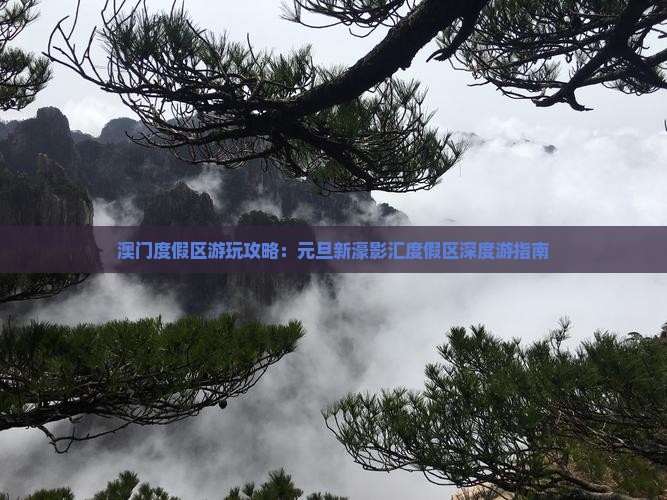 澳门度假区游玩攻略：元旦新濠影汇度假区深度游指南