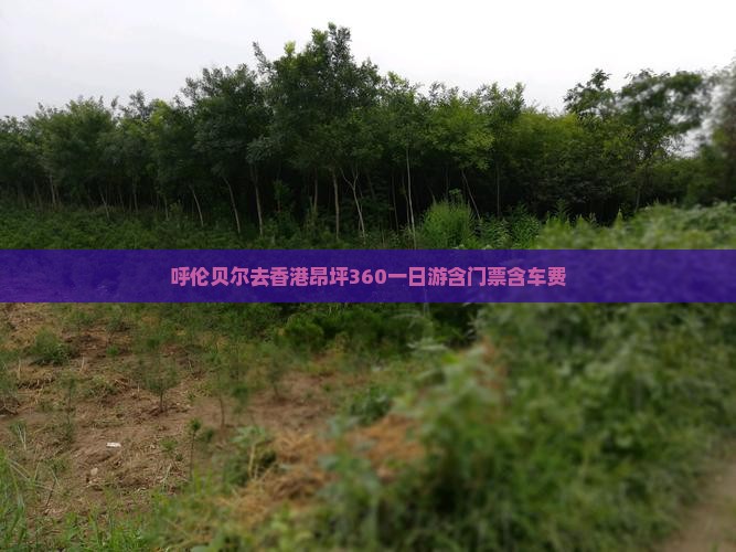 呼伦贝尔去香港昂坪360一日游含门票含车费