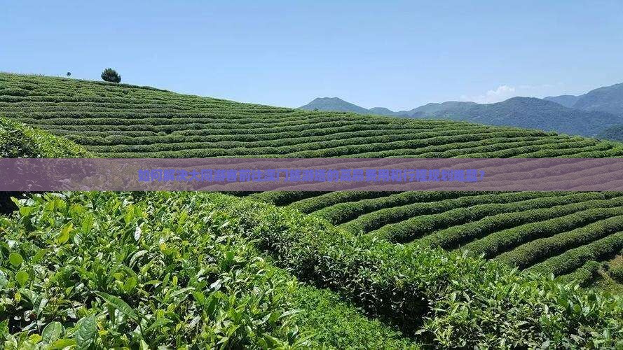 如何解决大同游客前往澳门旅游塔的高昂费用和行程规划难题？