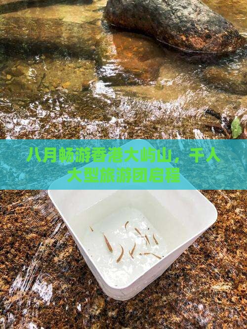 八月畅游香港大屿山，千人大型旅游团启程