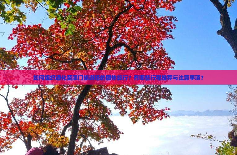 如何组织通化至澳门旅游塔的团体旅行？有哪些行程推荐与注意事项？