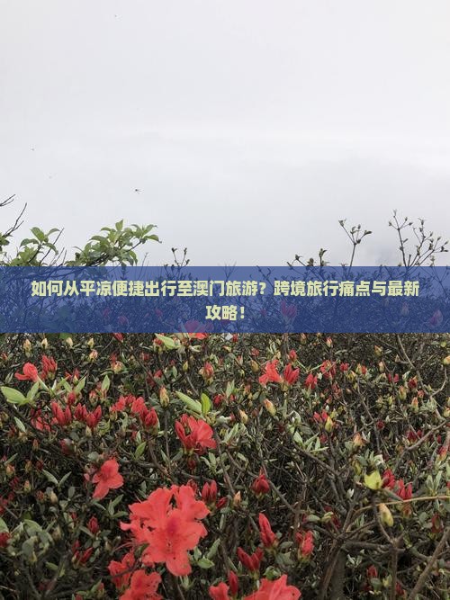 如何从平凉便捷出行至澳门旅游？跨境旅行痛点与最新攻略！