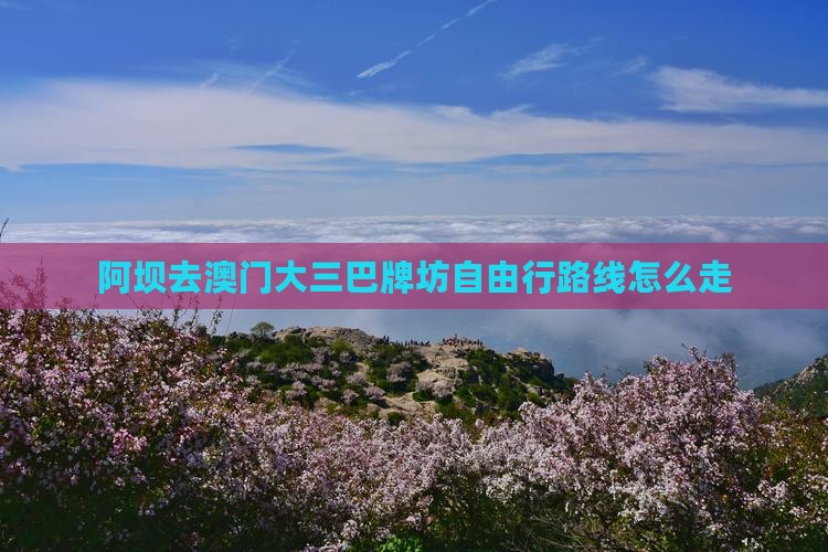 阿坝去澳门大三巴牌坊自由行路线怎么走