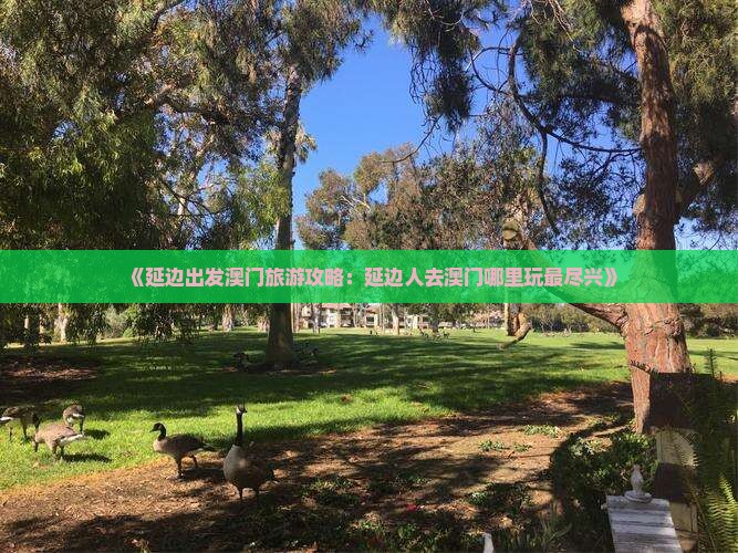 《延边出发澳门旅游攻略：延边人去澳门哪里玩最尽兴》