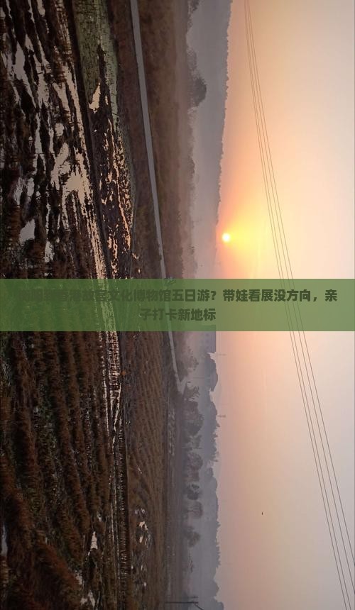衡阳到香港故宫文化博物馆五日游？带娃看展没方向，亲子打卡新地标