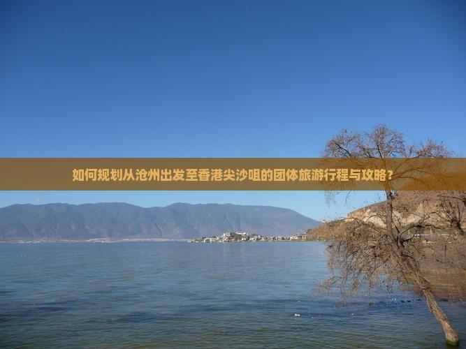 如何规划从沧州出发至香港尖沙咀的团体旅游行程与攻略？