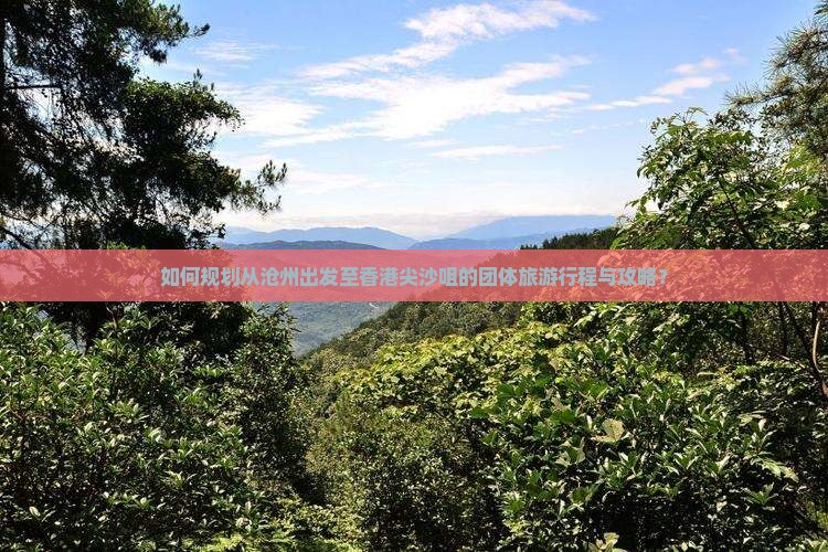 如何规划从沧州出发至香港尖沙咀的团体旅游行程与攻略？