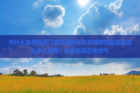 为什么来宾到澳门龙环葡韵住宅式博物馆自由团这么多人推荐？含金量高还接地气
