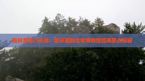 桂林至澳门必游：龙环葡韵住宅博物馆经典景点探秘