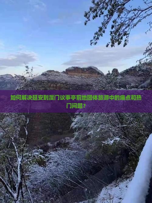 如何解决延安到澳门议事亭前地团体旅游中的痛点和热门问题？