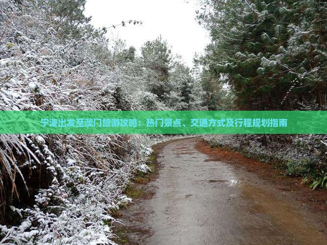 宁波出发至澳门旅游攻略：热门景点、交通方式及行程规划指南