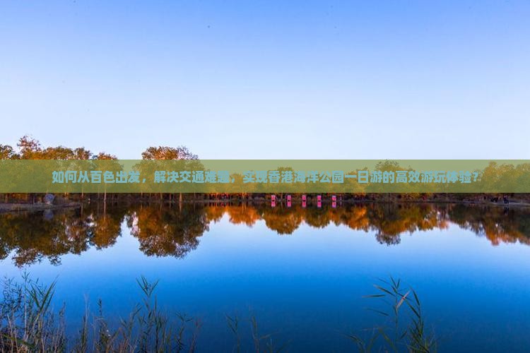 如何从百色出发，解决交通难题，实现香港海洋公园一日游的高效游玩体验？