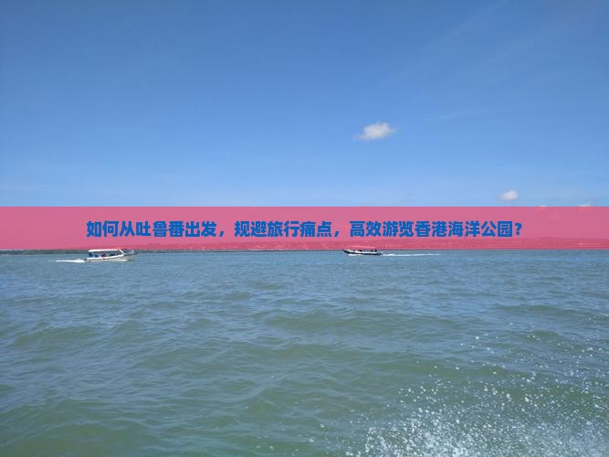 如何从吐鲁番出发，规避旅行痛点，高效游览香港海洋公园？