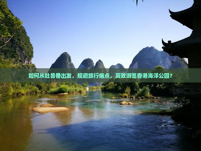 如何从吐鲁番出发，规避旅行痛点，高效游览香港海洋公园？