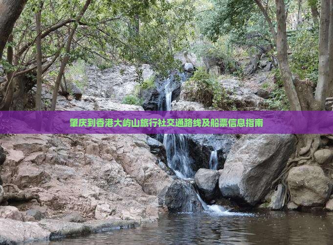 肇庆到香港大屿山旅行社交通路线及船票信息指南