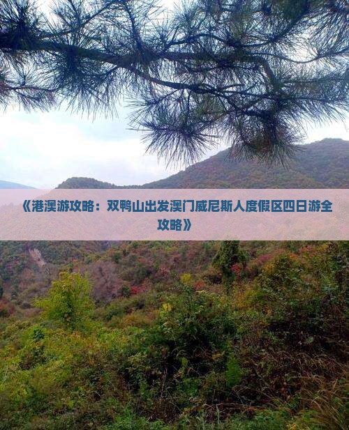 《港澳游攻略：双鸭山出发澳门威尼斯人度假区四日游全攻略》