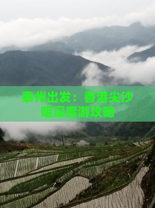 泰州出发：香港尖沙咀深度游攻略