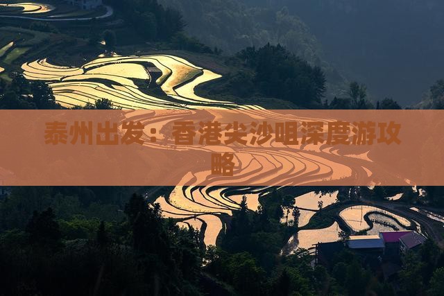 泰州出发：香港尖沙咀深度游攻略