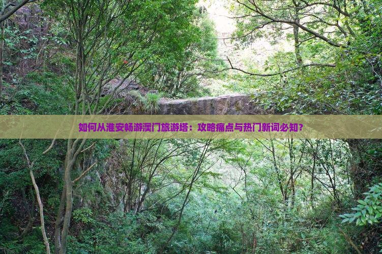 如何从淮安畅游澳门旅游塔：攻略痛点与热门新词必知？