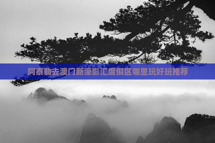 阿泰勒去澳门新濠影汇度假区哪里玩好玩推荐