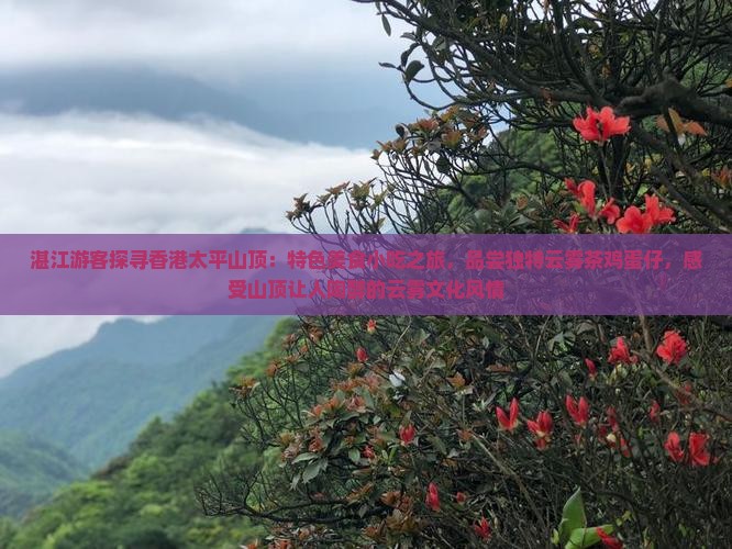 湛江游客探寻香港太平山顶：特色美食小吃之旅，品尝独特云雾茶鸡蛋仔，感受山顶让人陶醉的云雾文化风情