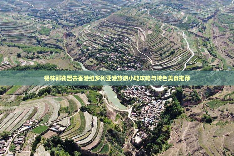 锡林郭勒盟去香港维多利亚港旅游小吃攻略与特色美食推荐