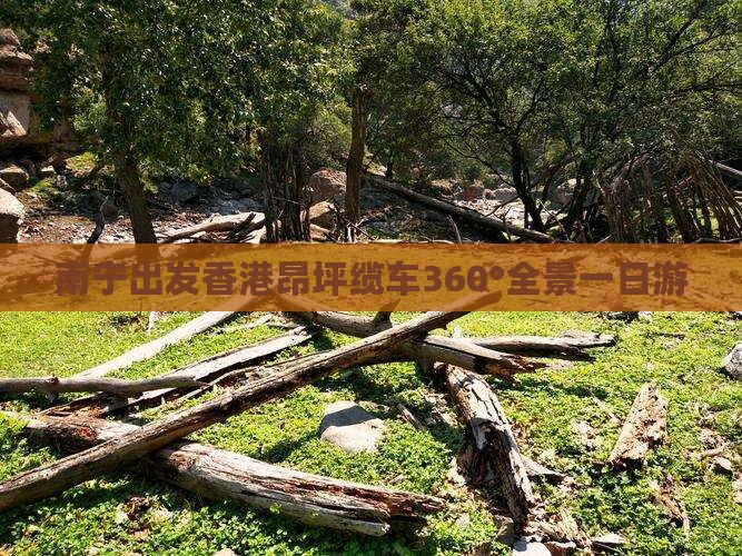 南宁出发香港昂坪缆车360°全景一日游