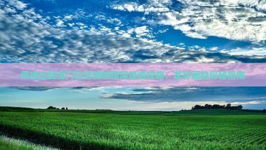 承德出发澳门住宅博物馆深度游攻略：龙环葡韵探秘指南
