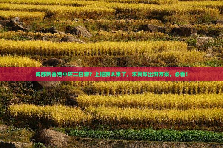 成都到香港中环二日游？上班族太累了，求高效出游方案，必看！