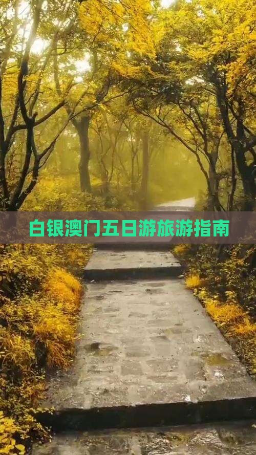 白银澳门五日游旅游指南