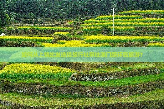如何从上饶出发选择旅行社前往澳门路环岛旅游？