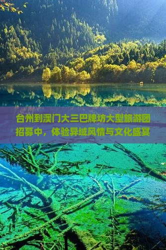 台州到澳门大三巴牌坊大型旅游团招募中，体验异域风情与文化盛宴