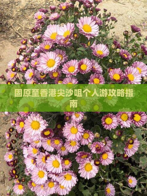 固原至香港尖沙咀个人游攻略指南