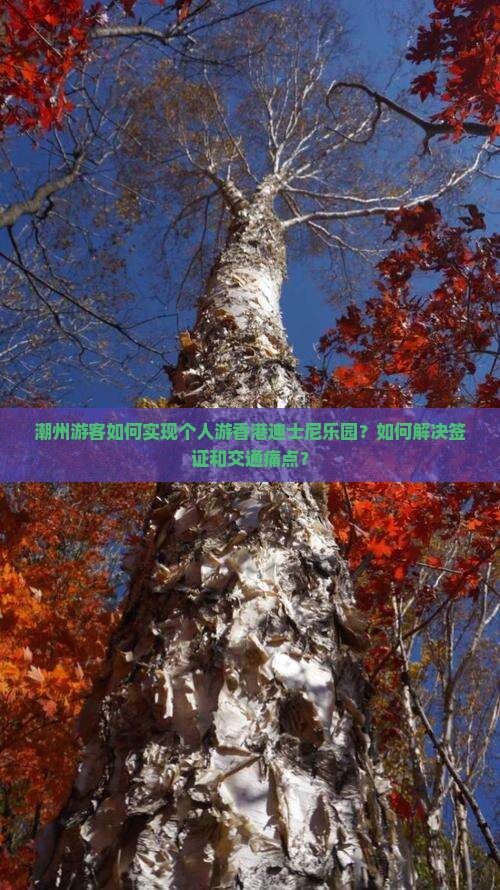 潮州游客如何实现个人游香港迪士尼乐园？如何解决签证和交通痛点？