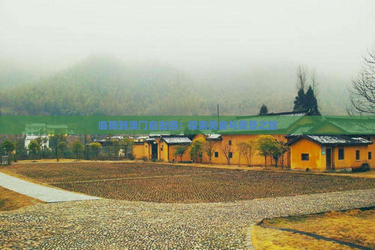 临猗到澳门自由团：探索美食与美景之旅