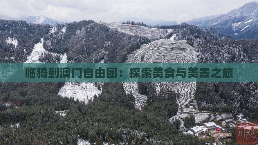临猗到澳门自由团：探索美食与美景之旅