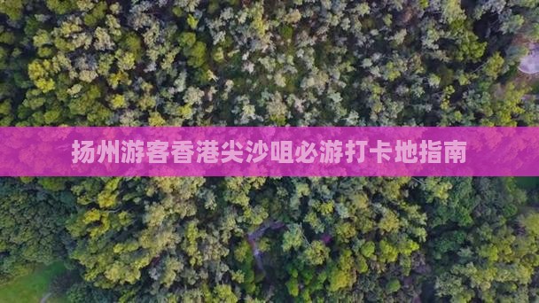 扬州游客香港尖沙咀必游打卡地指南