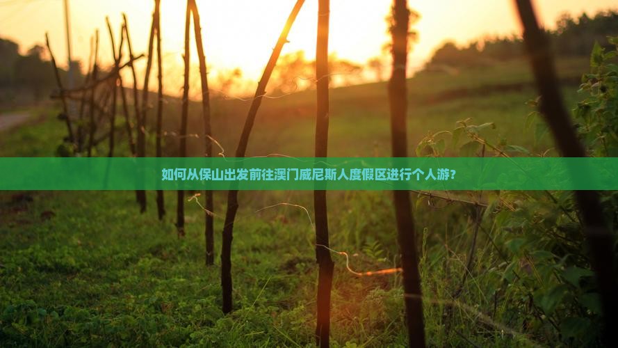 如何从保山出发前往澳门威尼斯人度假区进行个人游？
