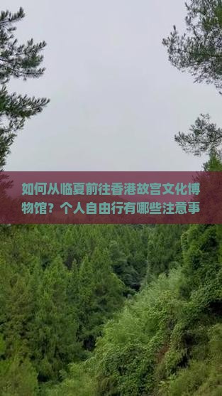 如何从临夏前往香港故宫文化博物馆？个人自由行有哪些注意事项？