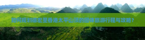 如何规划德宏至香港太平山顶的团体旅游行程与攻略？