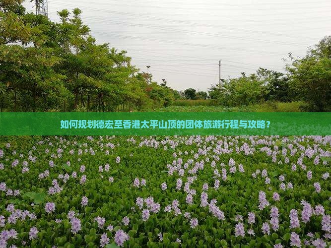 如何规划德宏至香港太平山顶的团体旅游行程与攻略？