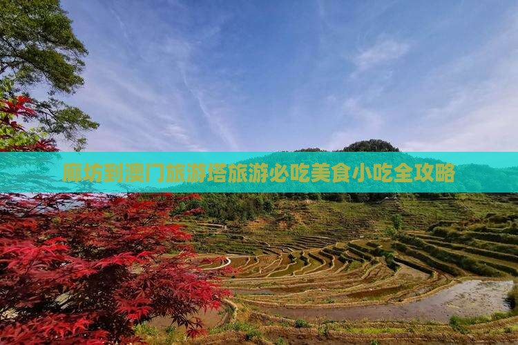 廊坊到澳门旅游塔旅游必吃美食小吃全攻略