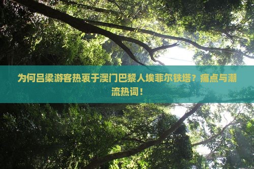 为何吕梁游客热衷于澳门巴黎人埃菲尔铁塔？痛点与潮流热词！