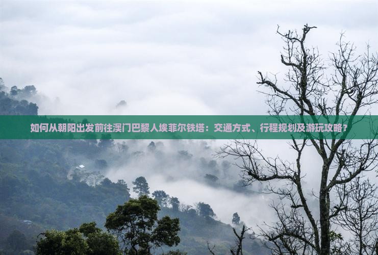 如何从朝阳出发前往澳门巴黎人埃菲尔铁塔：交通方式、行程规划及游玩攻略？