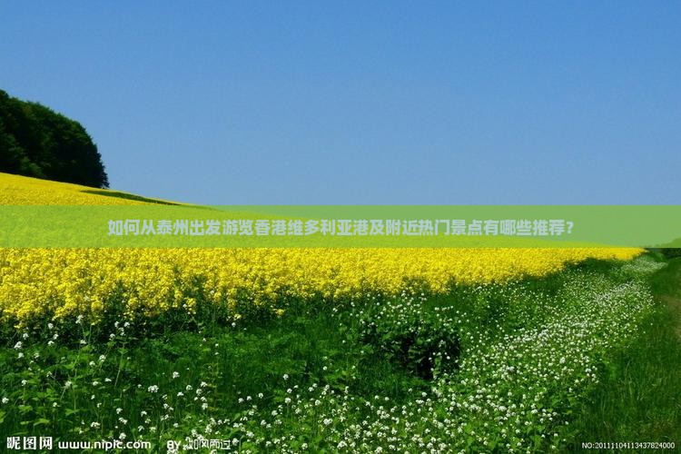 如何从泰州出发游览香港维多利亚港及附近热门景点有哪些推荐？