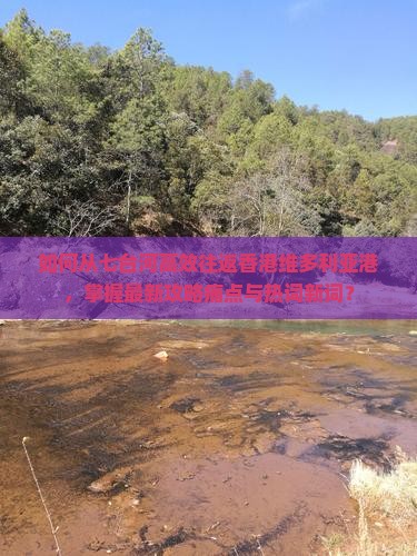 如何从七台河高效往返香港维多利亚港，掌握最新攻略痛点与热词新词？