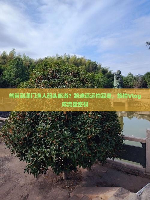 鹤岗到澳门渔人码头旅游？路途遥远怕寂寞，旅拍Vlog成流量密码